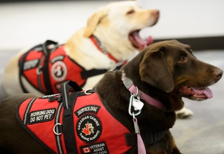 screenshot 2025 11 05 092528